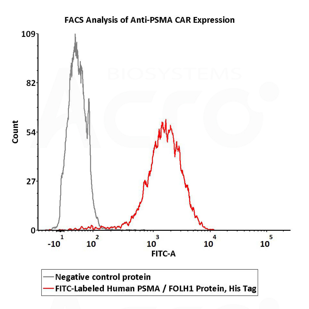 FITC-Labeled Human PSMA / FOLH1 Protein, His Tag