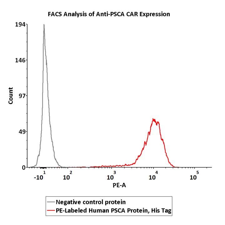 PSCA FACS