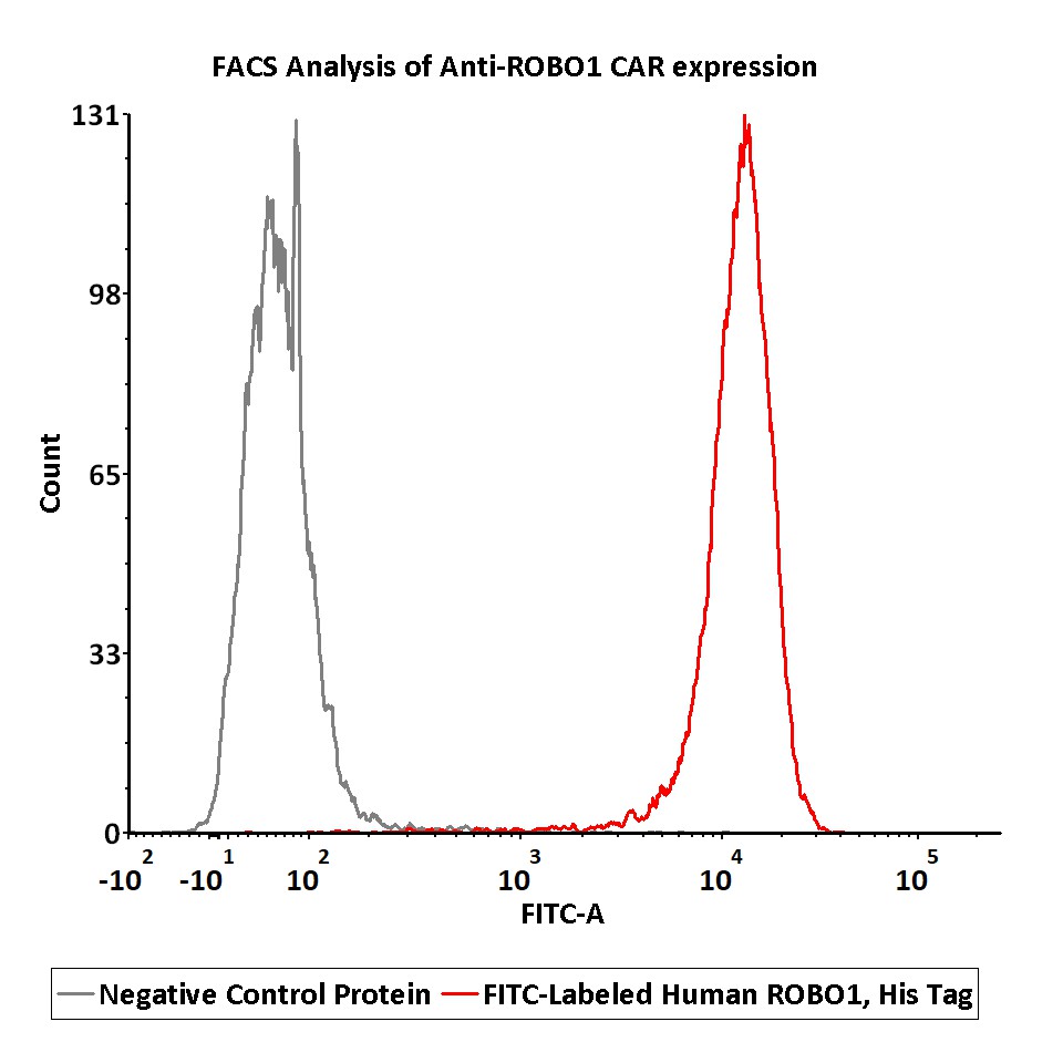 FITC-Labeled Human ROBO1 Protein, His Tag