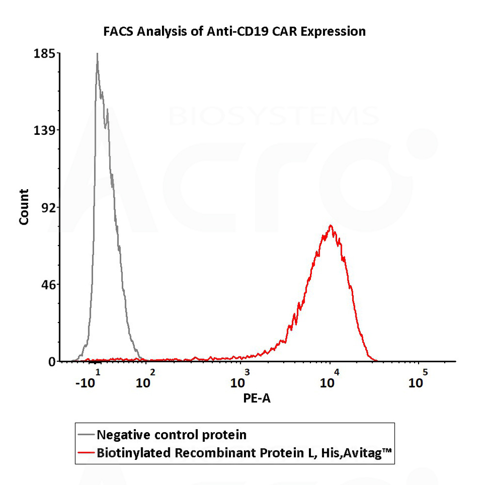 Protein L FACS