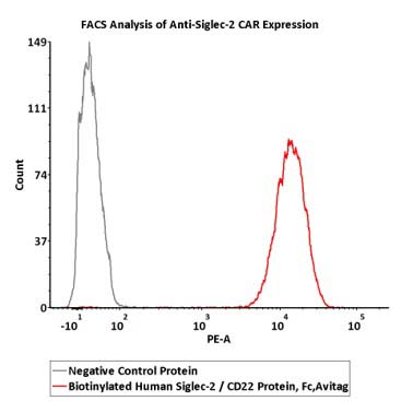 Siglec-2 FACS
