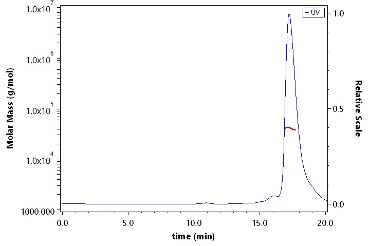 3C-like Proteinase SEC-MALS