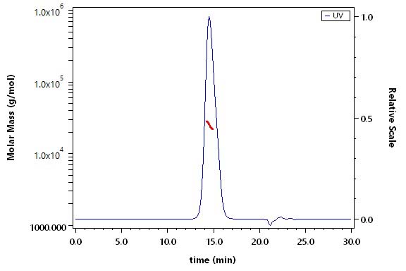 Activin RIIB SEC-MALS