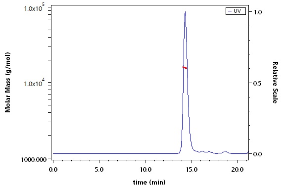 Alpha-Synuclein SEC-MALS