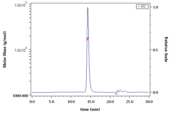 Alpha-Synuclein SEC-MALS