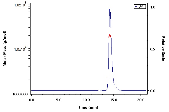 Alpha-Synuclein SEC-MALS