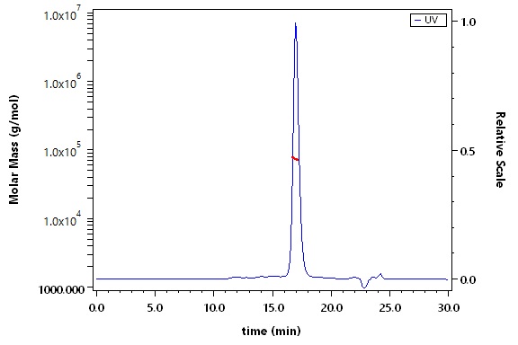 Alpha-fetoprotein SEC-MALS