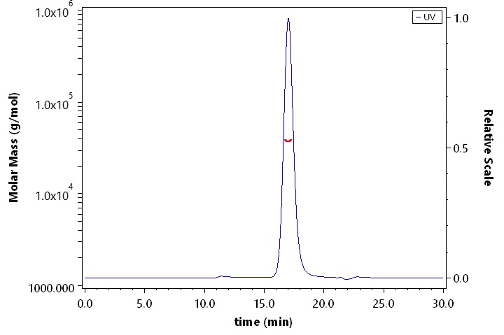 Angiopoietin-2 SEC-MALS