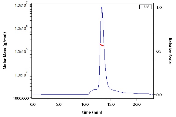 Apolipoprotein E SEC-MALS