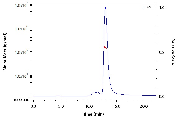 Apolipoprotein E SEC-MALS