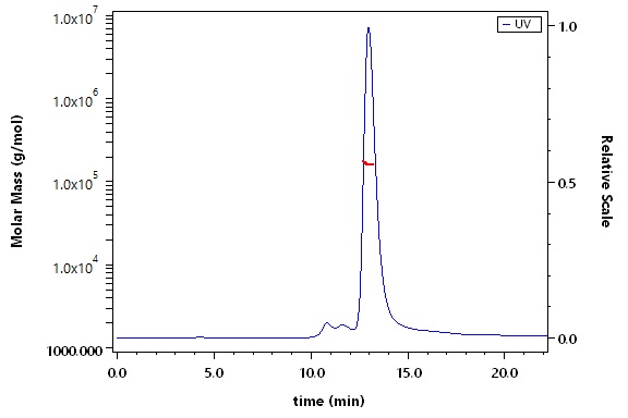 Apolipoprotein E SEC-MALS