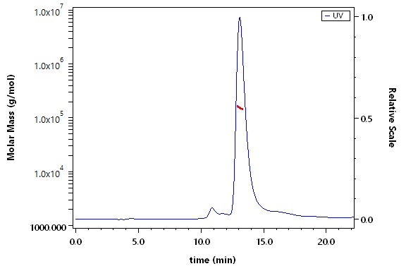 Apolipoprotein E SEC-MALS