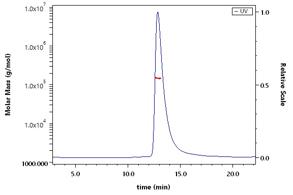 Apolipoprotein E SEC-MALS