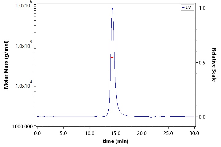 Apolipoprotein H SEC-MALS