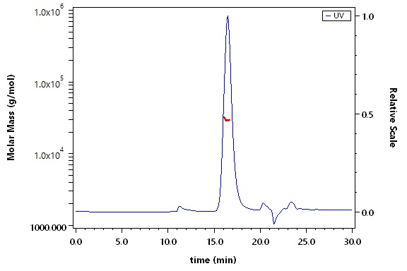 Cardiotrophin 1 SEC-MALS