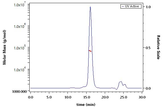 Cadherin-11 SEC-MALS