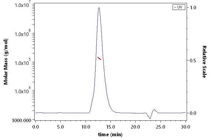 CA125 SEC-MALS