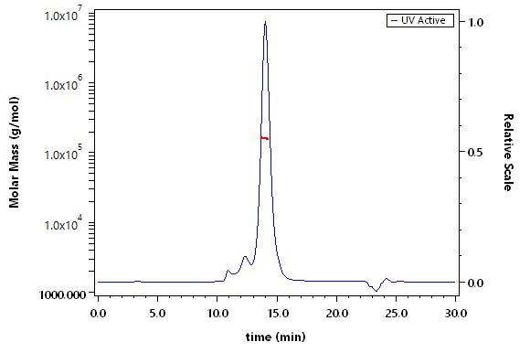 Cadherin-6 SEC-MALS