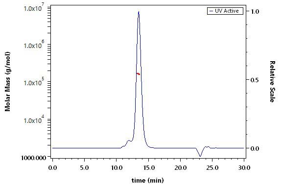 Cadherin-6 SEC-MALS