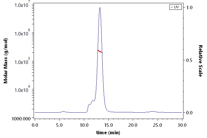 Cadherin-6 SEC-MALS