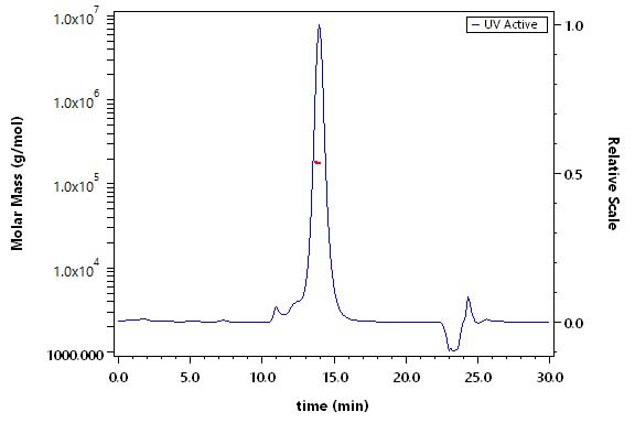 Cadherin-6 SEC-MALS