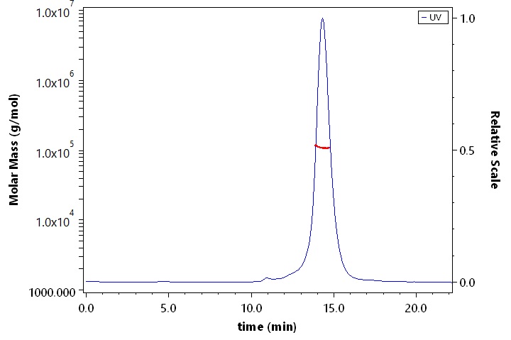 Cadherin-17 SEC-MALS