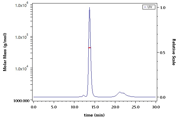 Carbonic Anhydrase IX SEC-MALS