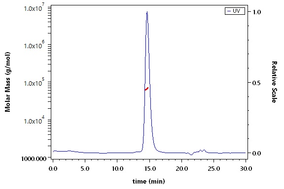 Carbonic Anhydrase IX SEC-MALS