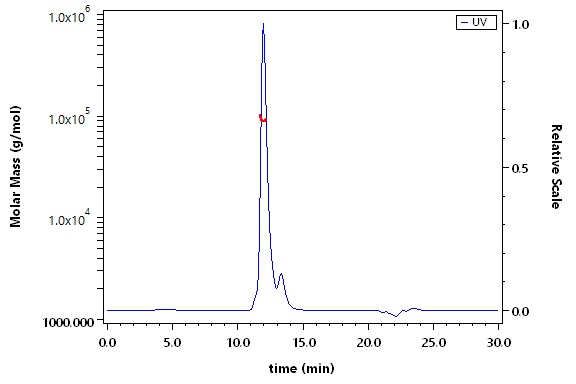 Carbonic Anhydrase IX SEC-MALS