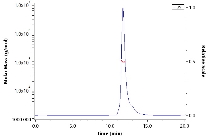 Carbonic Anhydrase IX SEC-MALS