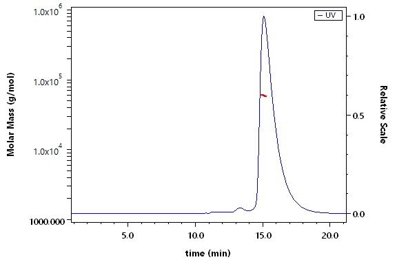 Cathepsin D SEC-MALS
