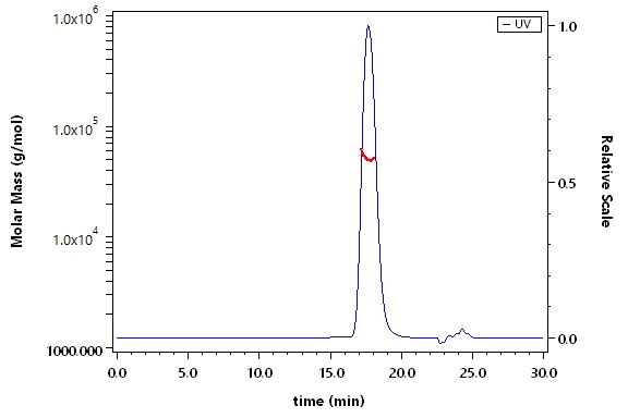 Carbonic Anhydrase XII SEC-MALS