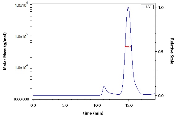 Carbonic Anhydrase XII SEC-MALS