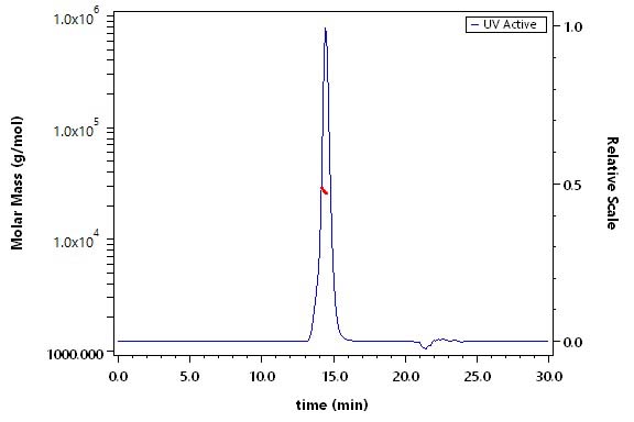 CD40 SEC-MALS