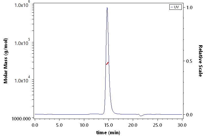 CD40 SEC-MALS