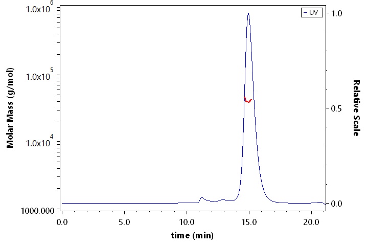 CD40 SEC-MALS