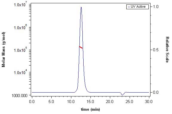 CD30 SEC-MALS