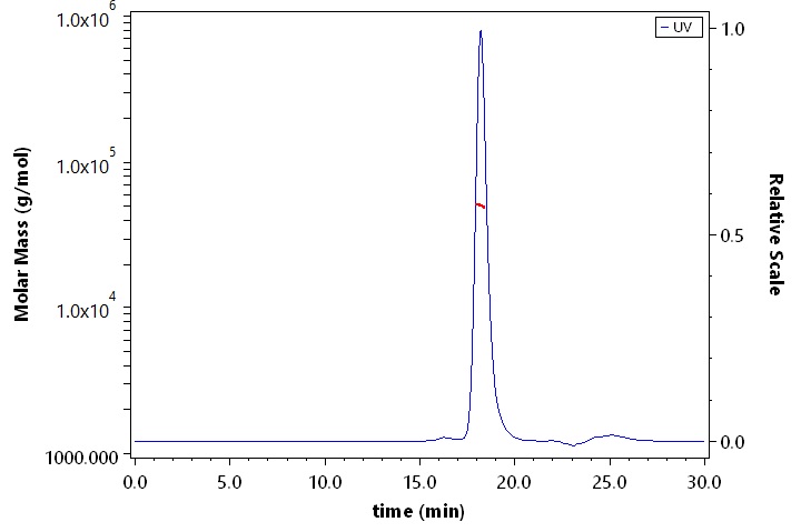 CD40 Ligand SEC-MALS