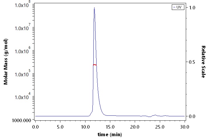 CD171 SEC-MALS