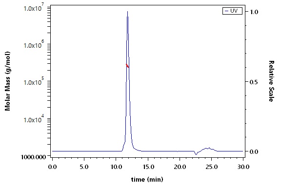 Siglec-2 SEC-MALS