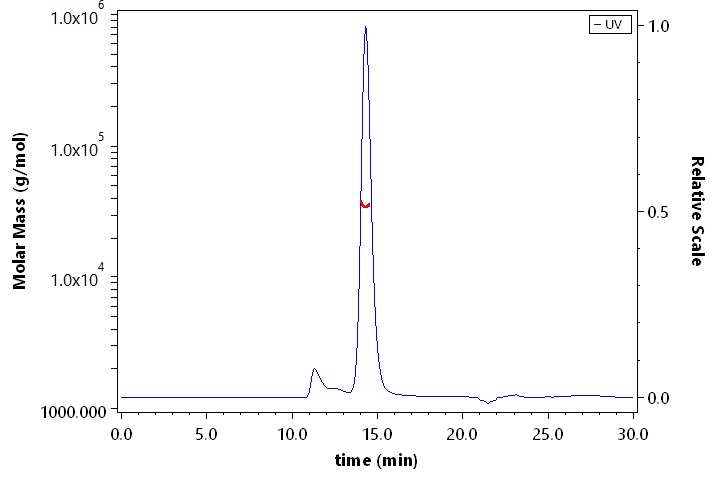 CD2 SEC-MALS