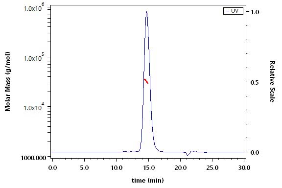 CD2 SEC-MALS