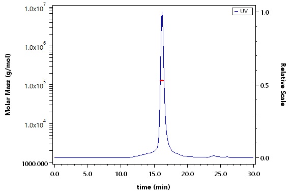 CD73 SEC-MALS