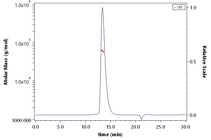 Siglec-3 SEC-MALS