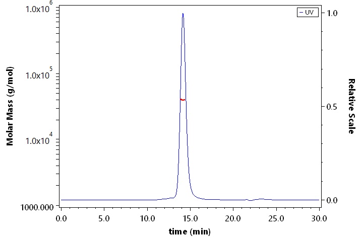 CD23 SEC-MALS