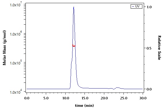 CD74 SEC-MALS
