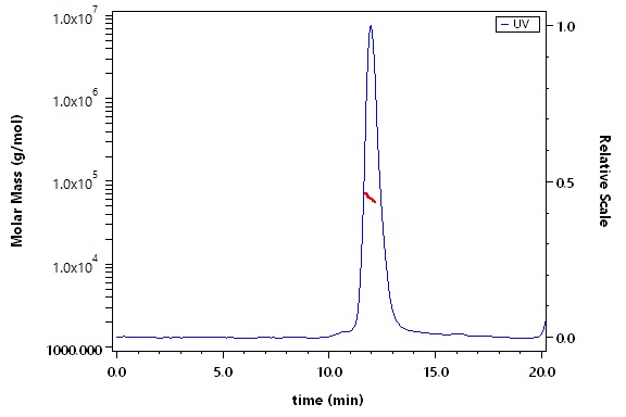 CD34 SEC-MALS