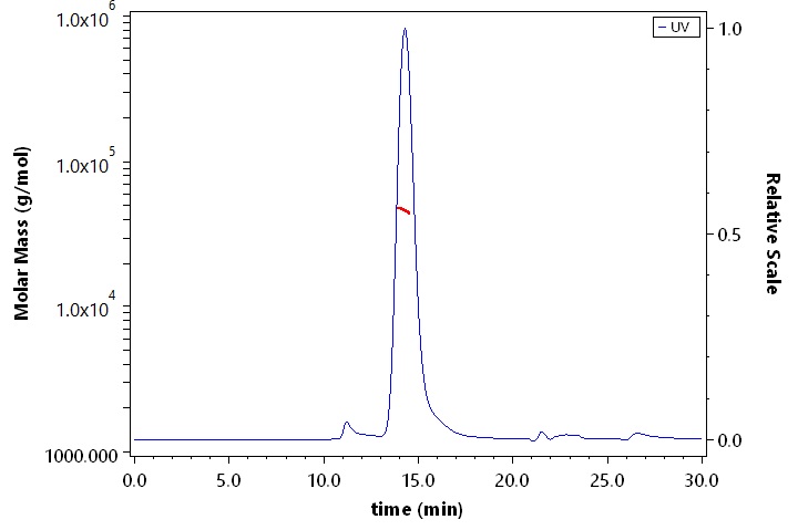 Fc gamma RI / CD64 SEC-MALS