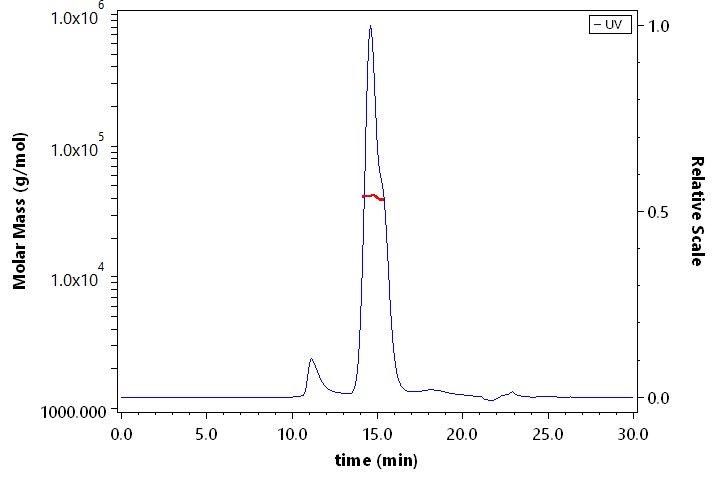 Fc gamma RI / CD64 SEC-MALS
