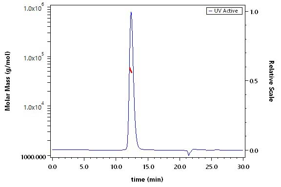 CD55 SEC-MALS